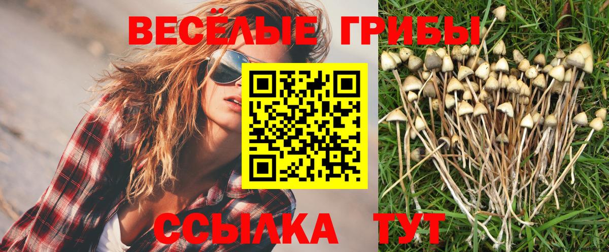 Люберцы  Галлюциногенные грибы Psilocybe  Псилоцибиновые грибы мухоморы  Вход с VPN 